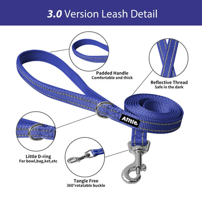 AIITLE Step in Dog Harness and Leash Set - Summer No Pull Escape Proof Vest Harnesses with Soft Mesh and Reflective Bands, Adjustable Pet Outdoor Harnesses for Small and Medium Dogs Royal Blue M