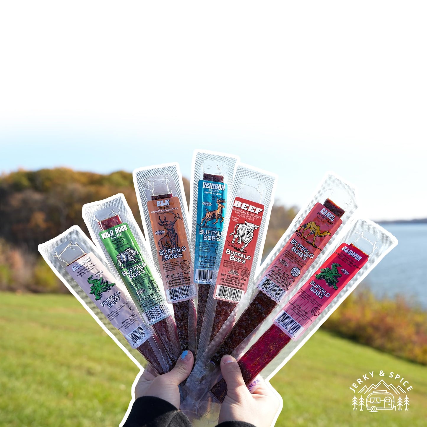 Buffalo Bob's Exotic Jerky (10 Pack) | Meat Snack Variety Set | Gourmet Wild Game Sampler Gift Set | Beef Jerky Gifts for Men | Snacks for Fathers | Animal Protein Variety Set | Exotic Pack