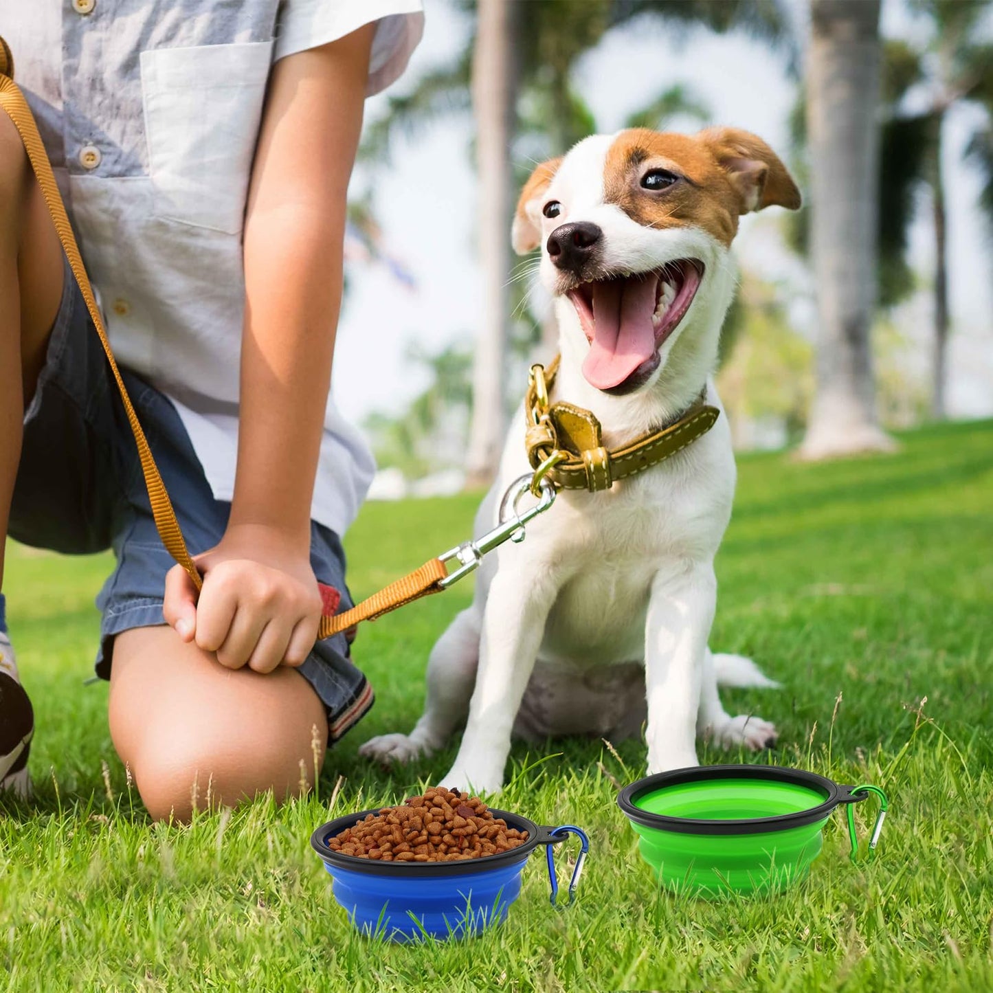 COLLAPSIBLE 2-Pack Small Dog Travel Bowl, Collapsible Bowls for Dogs, Foldable Cat Water Bowl, Portable Pet Traveling Dish (Green & Blue)