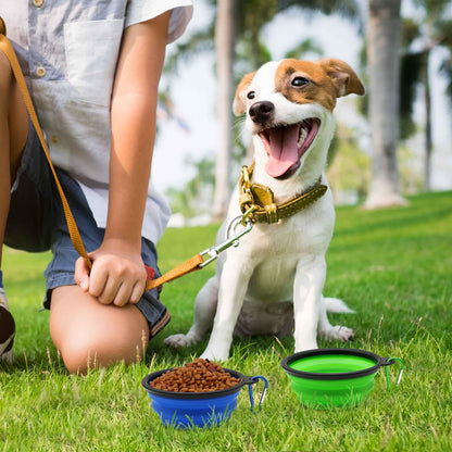 COLLAPSIBLE 2-Pack Small Dog Travel Bowl, Collapsible Bowls for Dogs, Foldable Cat Water Bowl, Portable Pet Traveling Dish (Green & Blue)