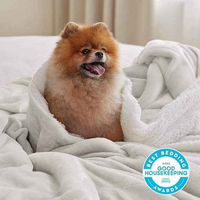 Bedsure GentleSoft Sherpa Fleece Throw Blanket Twin Size for Couch - Thick and Warm, Soft Fuzzy Plush Twin Blanket for Winter, Linen, 60x80 Inches