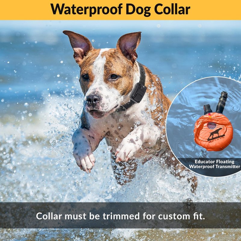 Educator E-Collar Dog Training Collar with Remote | 100 Levels, Waterproof, Rechargeable, Night Light - For Medium/Large Dogs, Orange
