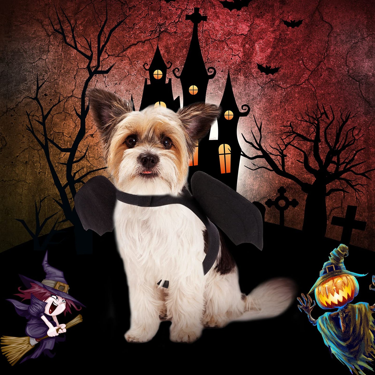 RYPET Dog Halloween Costume - Halloween Bat Wings Pet Costumes for Dogs Cats Halloween Party Medium