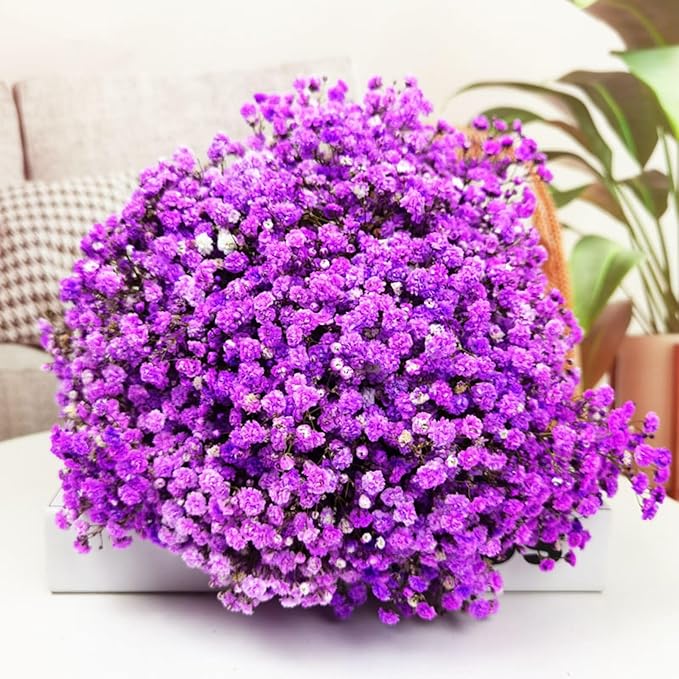 Dried Baby's Breath Bouquet - 17 Inch 1800+ Purple Dry Flowers, Natural Gypsophila Branches for Wedding, Table Vase Decor, DIY Wreath Floral, Home Office Party Garden Decoration