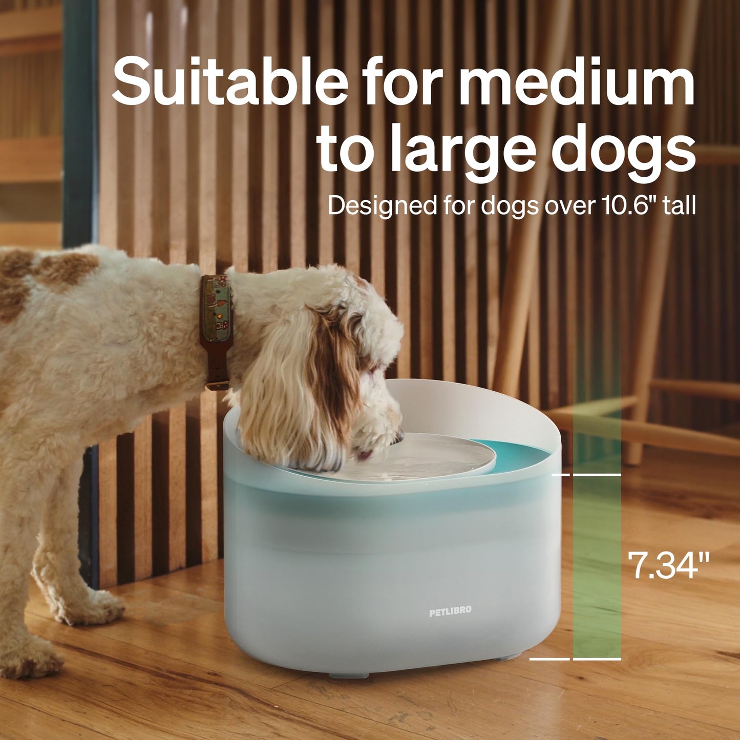 PETLIBRO Capsule Cat Dog Water Fountain Bowl, 8L/1.76 Gallons, Anti-Spill Guard, Vortex Flow Anti-Choking, Easy Refill & Clean, Transparent Casing, Ideal for Medium to Large Dogs Drinking (Plastic)