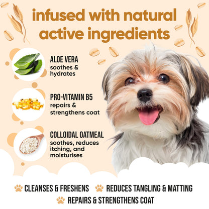 Buddycare Oatmeal Dog Shampoo (500ml) Gentle for Sensitive or Itchy Skin Removes Dandruff & Smelly Puppy Odours, w/Aloe Vera to Help Itch Relief Dog Shampoo for Smelly Dogs Best Puppy Shampoo