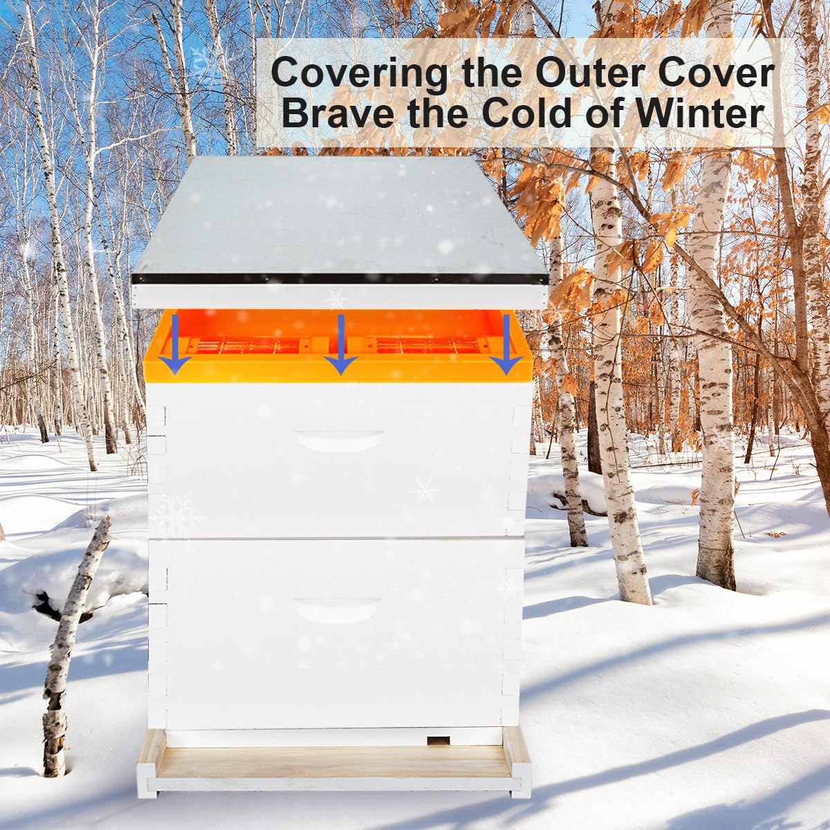 Bee Feeder Top Feeder for Langstroth 10 Frame Hive, 6-Channel 1.2 Gallon Beekeeping Feeder for Wet and Dry Feeding, for Backyard, Apiary or Commercial Hives, Bee Watering Station