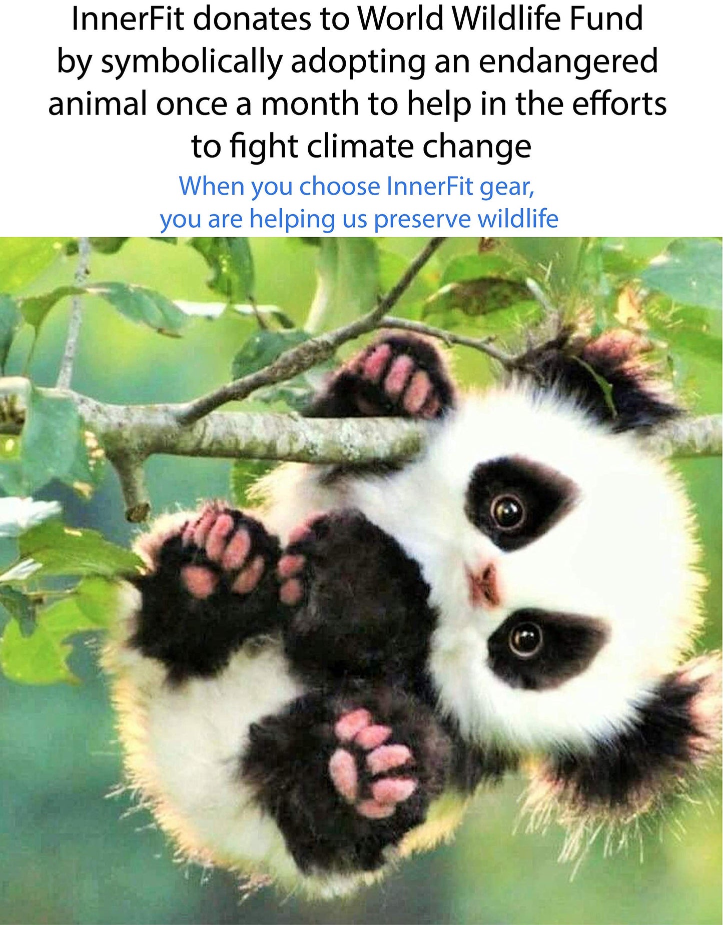 InnerFit Core Sliders for Working Out - Set of 2 Dual Sided Exercise Sliders Fitness Discs - Durable Strength Slides suitable for carpets and hardwood floors (Black & Grey)