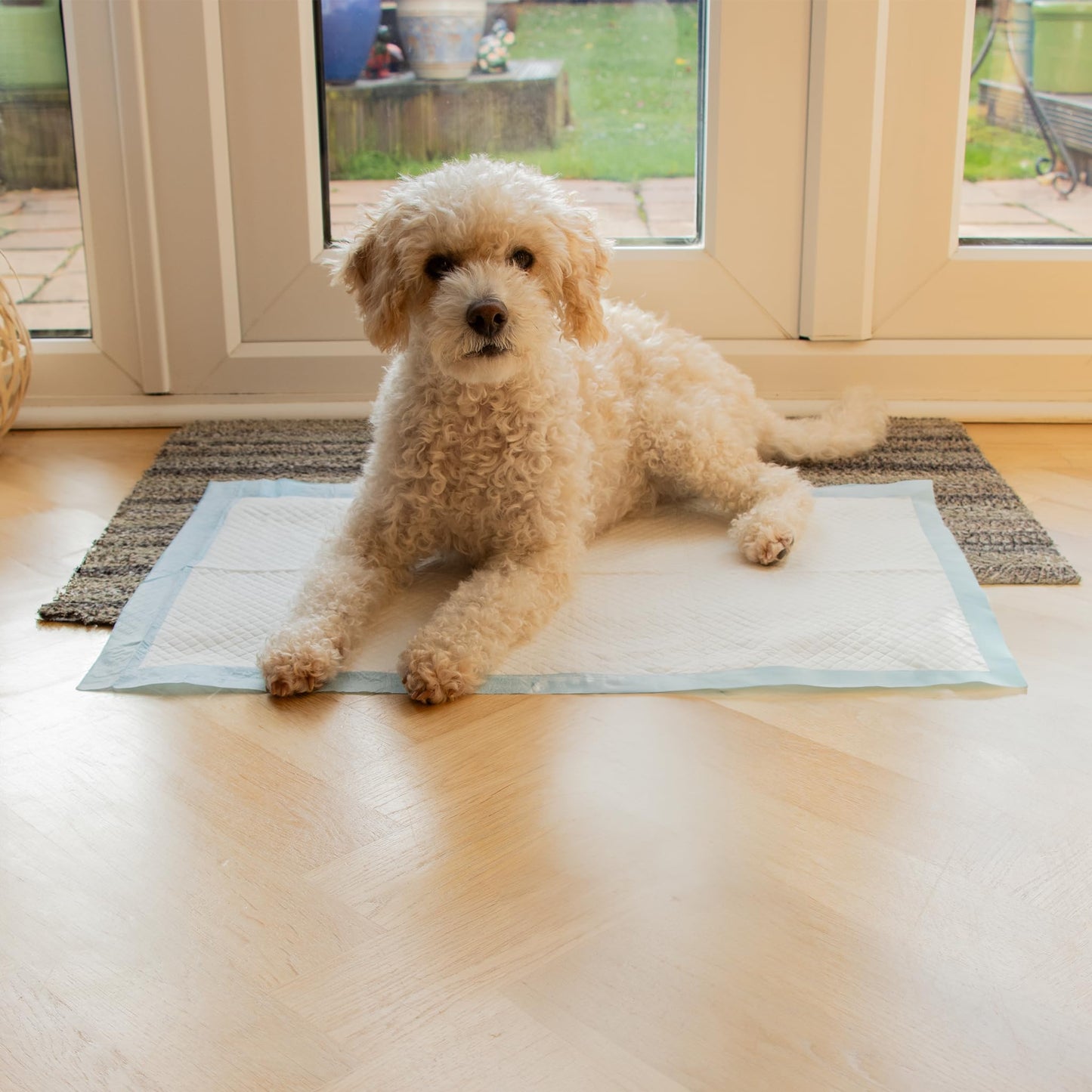 AllPetSolutions Puppy Pads - Disposable Puppy Training Pads Dog Toilet Sheets with 5 Highly Absorbent Layers & Odour Control Leak-Proof Non Slip Matting for Pet Wee - Extra Large, 60x90cm - 100-Pack