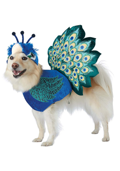 California Costumes Pretty as a Peacock Pet Costume X-Small
