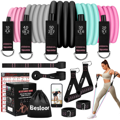 Besloor Resistance Band Set. Exercise Bands with Handles, Door Anchor and Ankle Strap. Home Gym, Supports Full-Body Workouts - with Training Guide and Fitness Video (Pink)