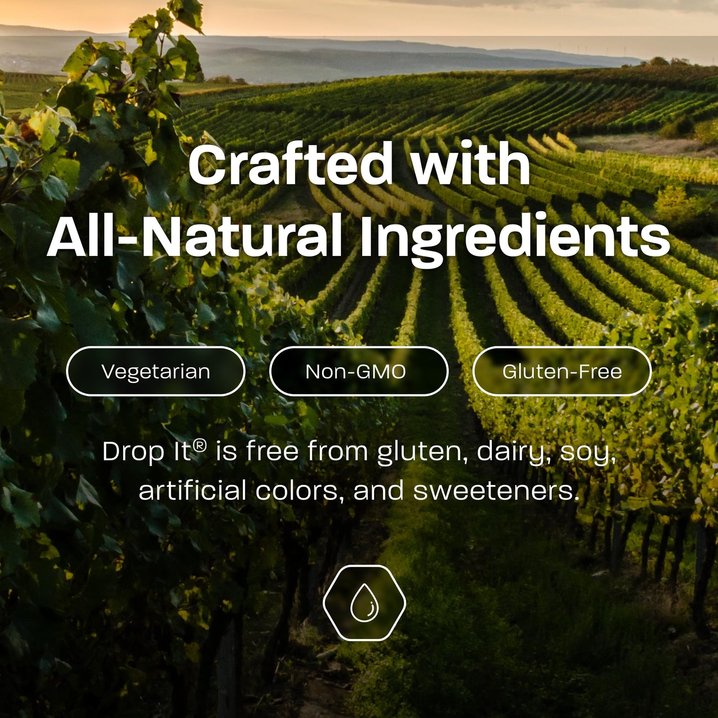 Drop It Wine Drops, Original - 10 mL, 2 Pack - Naturally Reduces Sulfites & Tannins in Red, White & Sparkling Wines - Portable, Easy to Use - Treats Up to 55 Glasses/9 Bottles of Wine Each - USA Made