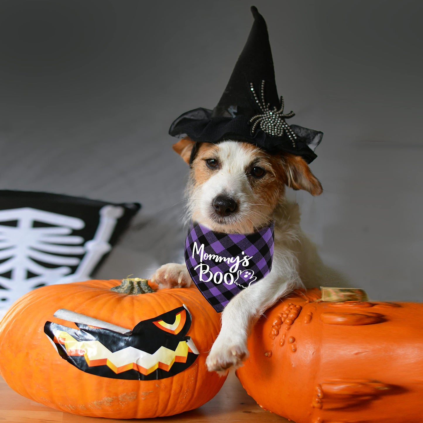 Halloween Dog Bandana, 2 Pack Holiday Cat Buffalo Halloween bib for Small Medium Large Dogs Pets Puppies (Small)