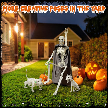 Askill 36" Skeleton Halloween Decorations, 3FT Posable Skeleton with Dog & Cat Skeleton - 5 in 1 Creepy Plastic Movable Joint Skeleton for Halloween Party Yard Decor (36inch)