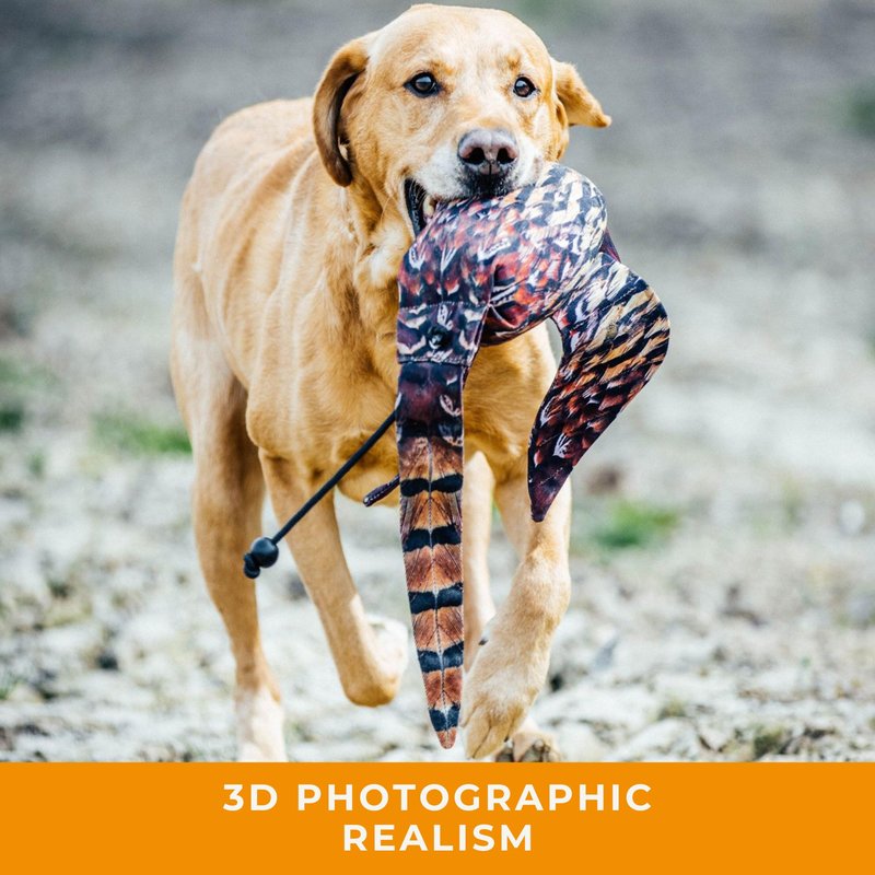 The Original Clone® Realistic Game Bird Dog Training Dummy - Canvas Dummy with HD Feather Print for Gundog & Puppy Training - Dog Hunting Equipment (Hen Pheasant Launcher Dummy)