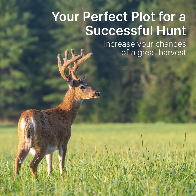 Hit List Seed No Till Food Plot Seeds for Deer [Annual Mix] – Throw and Grow Food Mix – Deer Seed Blend with Clover, Rye, Turnip, Brassica, Oats – No Plow Planting – 5 lbs
