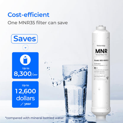 Waterdrop Remineralization Inline Water Filter, 1/4” Quick Connect Post Filter for RO Reverse Osmosis Filter System, Restore Essential Minerals (1)