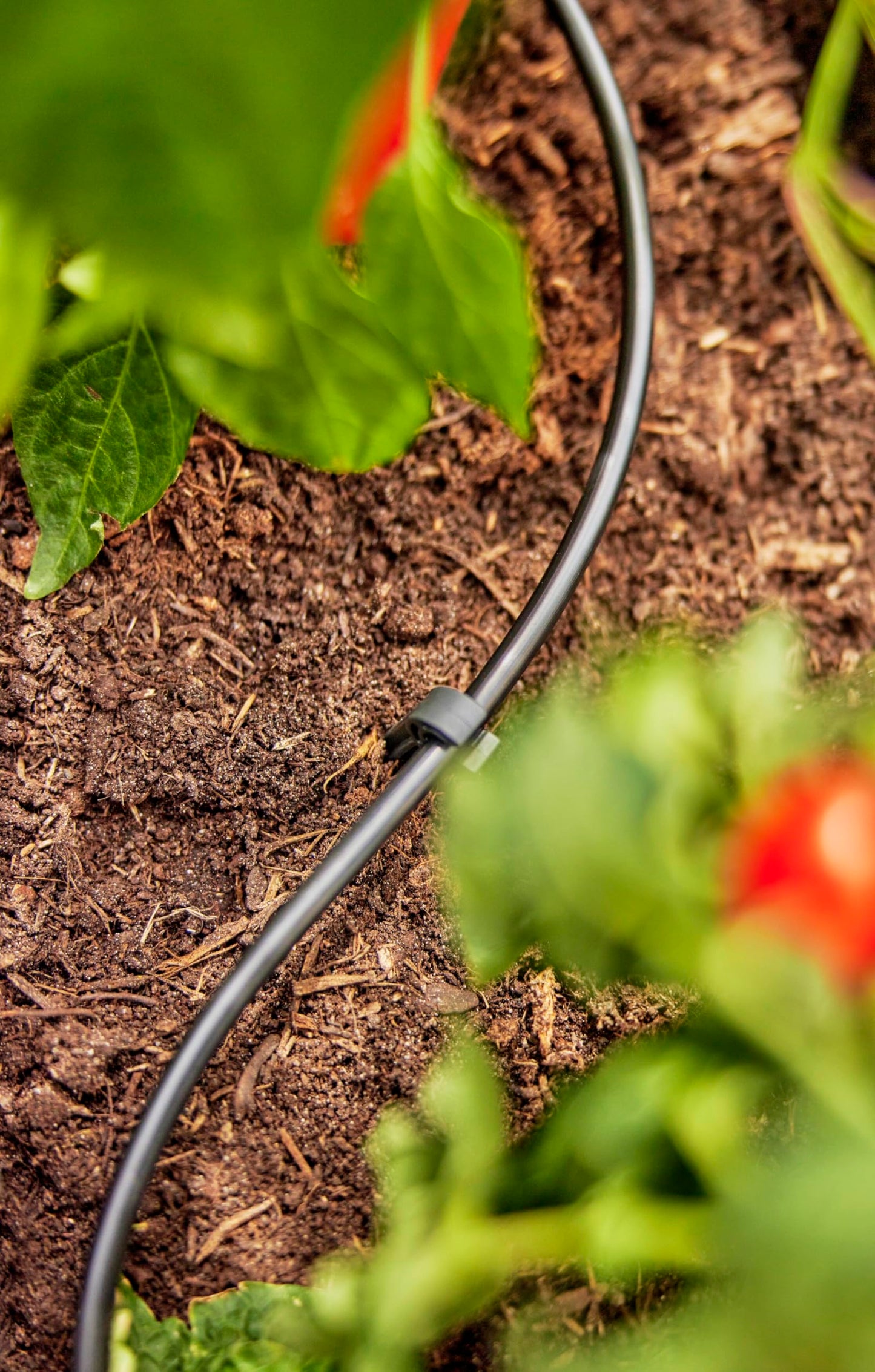 GARDENA Micro-Drip System Supply Pipe: Flexible supply pipe, 4.6 mm (3/16"), can be laid above or below ground, UV-stabilised, 15 m (1350-20)