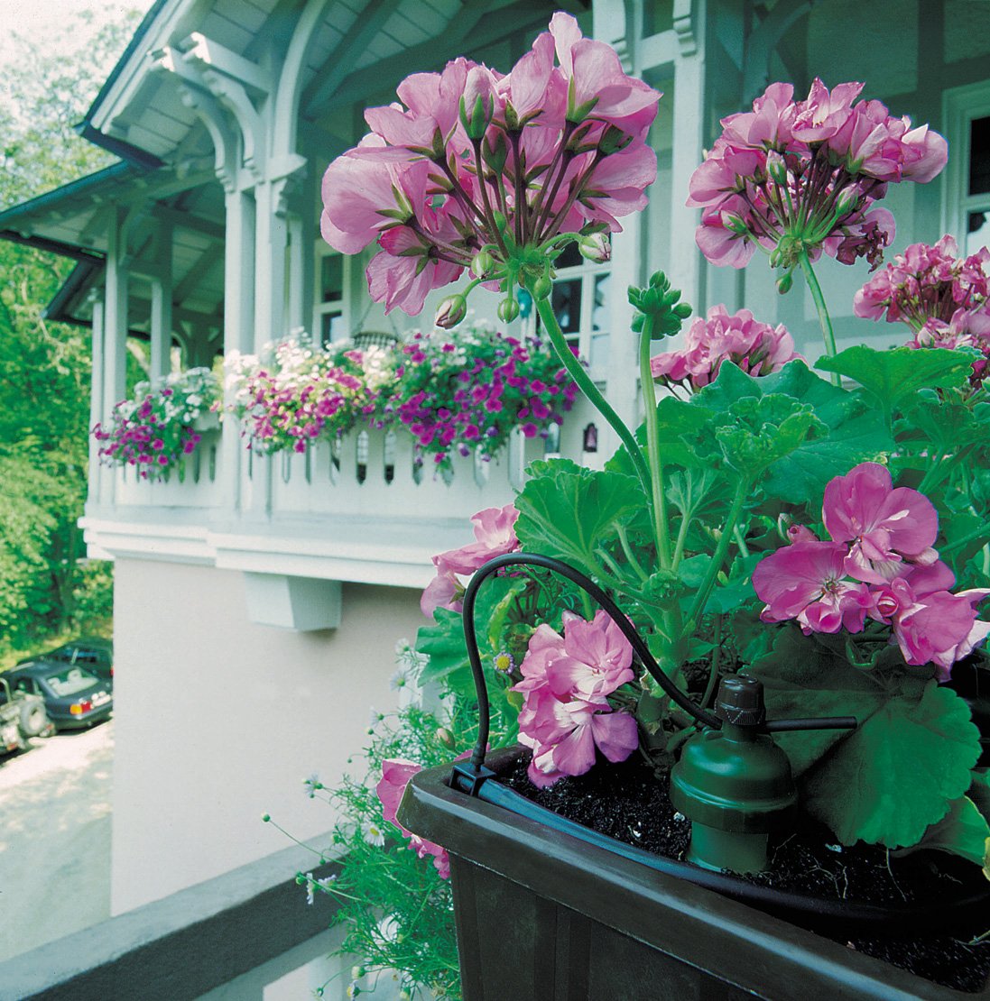 Blumat Drip Irrigation System - Tropf Medium Box Automatic Plant Watering Devices for Garden, Patio and Hanging Baskets - Garden Watering System Up to 12 Plants - Effortless Hydration - 12 Pack