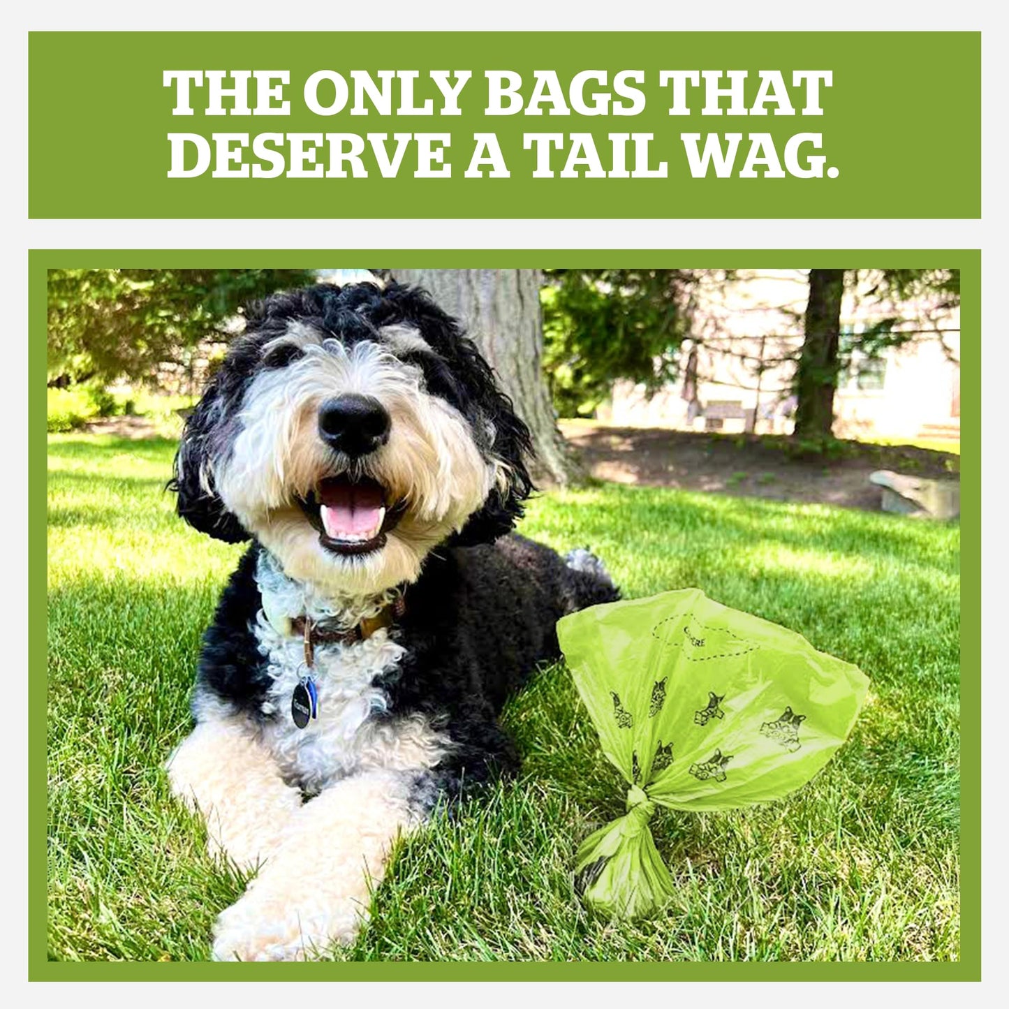 Pogi’s Dog Poo Bags – 750 Bags (50 Rolls) with 2 Dispensers – Biodegradable, Leak-Proof, Extra Strong