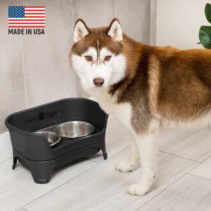Neater Feeder Express Elevated Dog Bowls by Neater Pet Brands – Dog Bowls with Stand - Stainless Steel Food and Water Bowls – Raised Dog Bowl Set for Medium to Large Dogs, Midnight Black