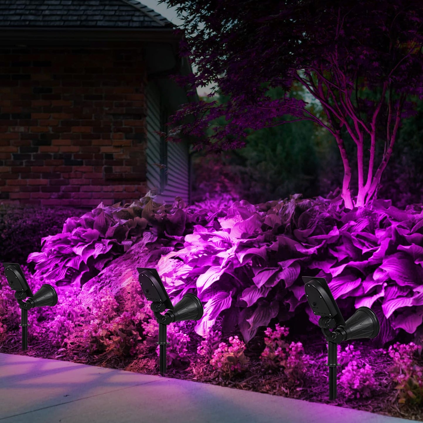 T-SUN [2 Pack] LED Solar Spotlights, Waterproof Outdoor Security Landscape Lamps, Auto-on/Auto-Off by Day, 180 Angle Adjustable for Tree, Patio, Yard, Garden, Driveway, Stairs, Pool Area(Purple)