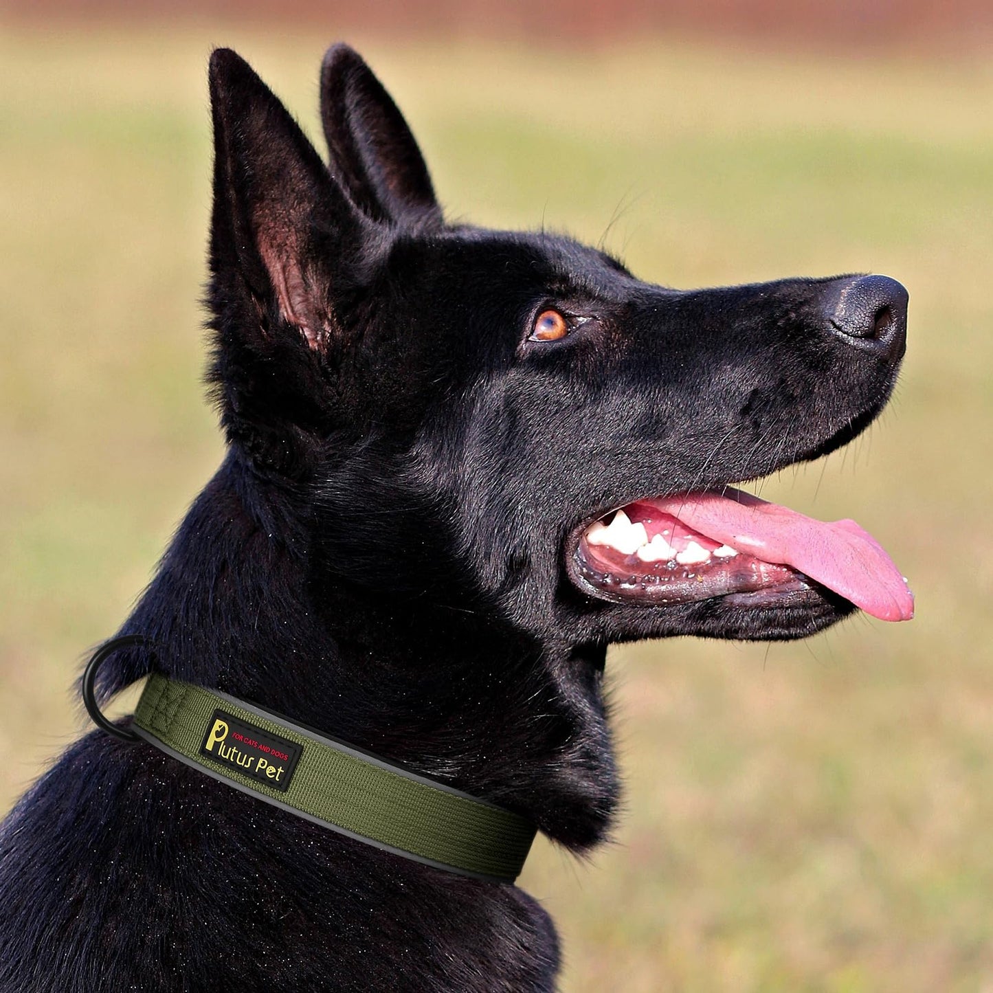 Plutus Pet Tactical Dog Collar, Reflective, Adjustable Heavy Duty Dog Collar, Soft Padded and Comfortable, for Small Medium and Large Dogs (Ranger Green, L)