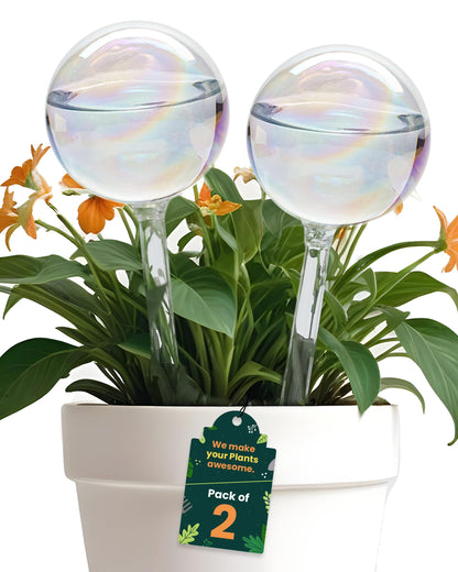 2 Pcs Iridescent Self Watering Globes, Glass Rainbow Plant Watering Globes, Self Watering Planter Insert, Automatic Plant Waterer Indoor, Plant Watering Devices, Plant Water Globes, Watering Bulb