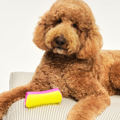Tangle Teezer Large Pet Teezer Detangling Dog Grooming Brush - Dry or Bath - The Perfect Detangling Brush for Dogs - Pink & Yellow