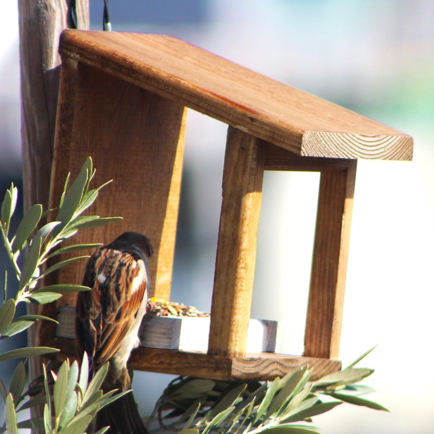 Bird feeder
