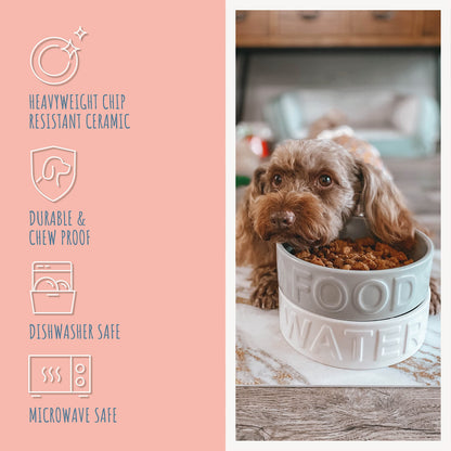Park Life Designs Pet Bowl | Classic Water (Medium, Grey)