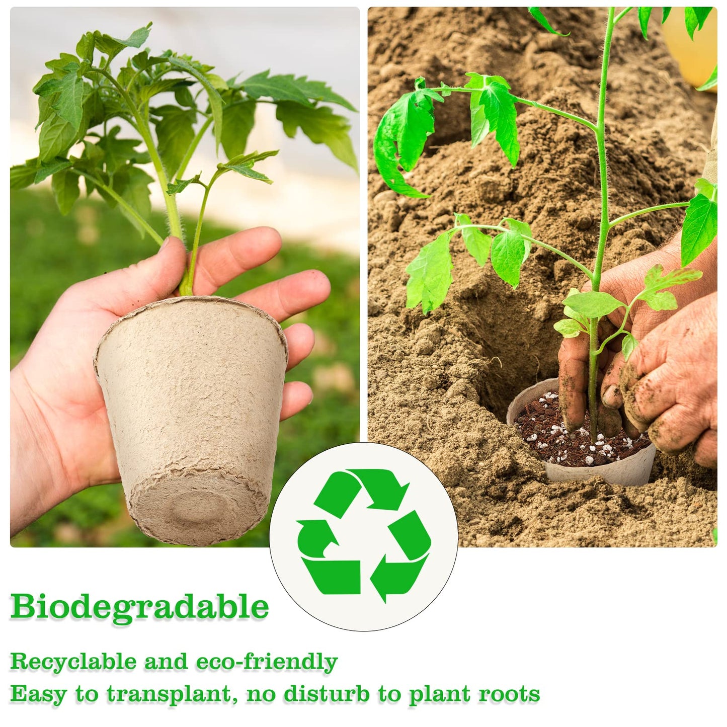 KINGLAKE Biodegradable Small Plant Pots Fibre Seedling Pots, 6cm 100Pcs Compostable Flower Seed Pots for Planting Vegetables, Fruits, Herbs with 100 Plant Labels