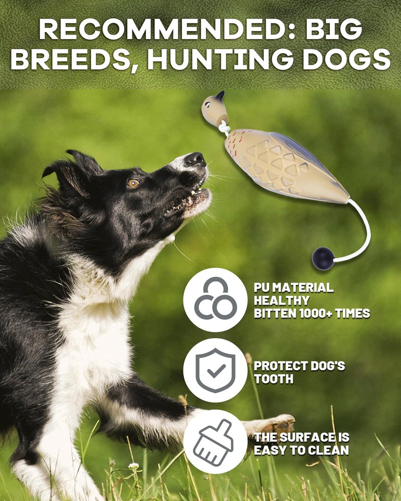 gardmate Dog Bumper for Water Retrieving - Bionic Dove Dog Training Dummy with Floating and Tear - Hunting Dog Toy - Durable Bite-Resistant Toy for Hound Training(Dove)