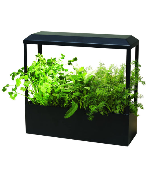 Modern Sprout Smart Growhouse LED Grow Light for Indoor Plants - Plant Grow Light Indoor Gardening System & Herb Garden Kit w/Smart App - Decor Countertop Planter for Herbs, Houseplants - Matte Black