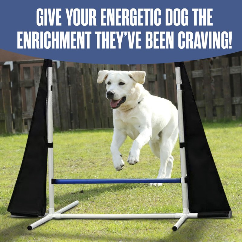 Houseables Dog Agility Course Backyard Set, Dog Agility Equipment, Obstacle Course Backyard, Training and Exercise Equipment, Play Tunnel, Weave Poles, Jumps, Pause Box for Playground, Park, Indoor