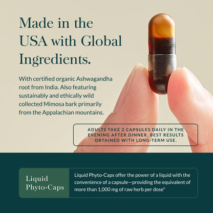 Gaia Herbs Adrenal Health Nightly Restore - Herbal Supplement with Ashwagandha, Magnolia Bark, Cordyceps, Lemon Balm & More - 120 Vegan Liquid Phyto-Capsules (60 Servings)