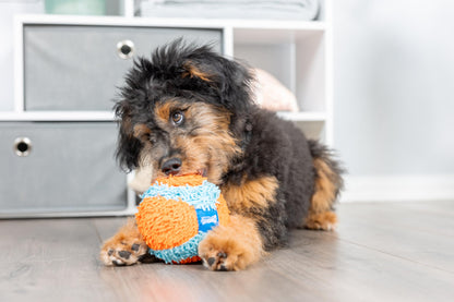 Chuckit! Indoor Dog Ball Dog Toys No Stuffing Dog Toys, Interactive Toys For Dogs Soft Ball Toy for Boredom, Medium 11cm