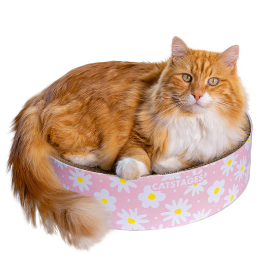 Catstages Scratch & Snuggle Corrugated Cat Scratcher and Lounger, Daisy, Pink