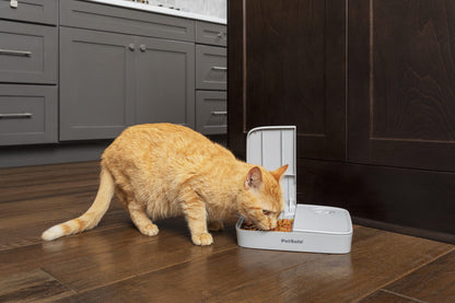 PetSafe 2 Meal Automatic Feeder, Built-in Timers, BPA Free Food Bowl, Suitable for Dry Food,Grey