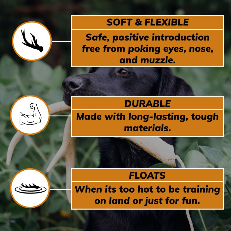 DogBone Shed Dog Training Dummy (White) | Dog Training Kit | Hunting Dog Accessories | Dog Training Tools | Dog Scent Training Kit | Scent Training for Dogs | Hunting Dog Toys