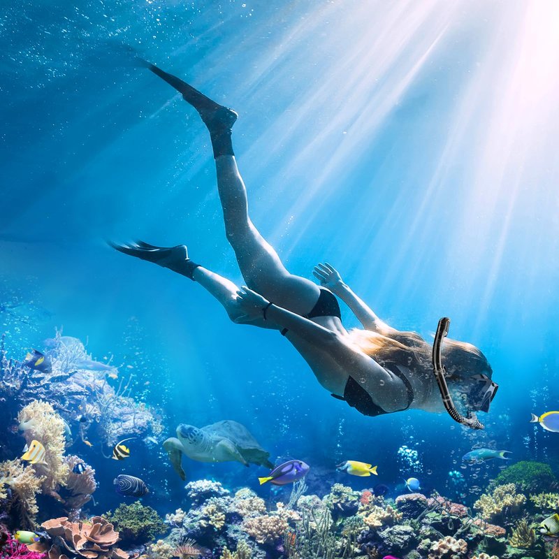 Snorkeling Gear for Adults, Snorkel Set for Adults