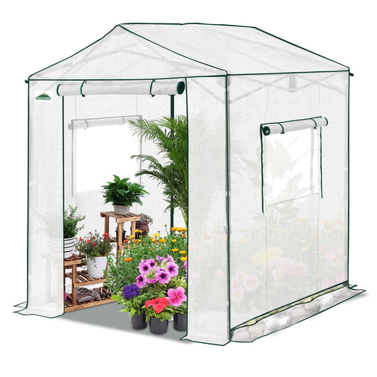 EAGLE PEAK 6x6 Portable Pop Up Greenhouse, Patented Center Lock Easy One Person Setup, Walk-in Outdoor Greenhouse with Gable Roof, Weight Bags, Zippered Doors & Windows, White