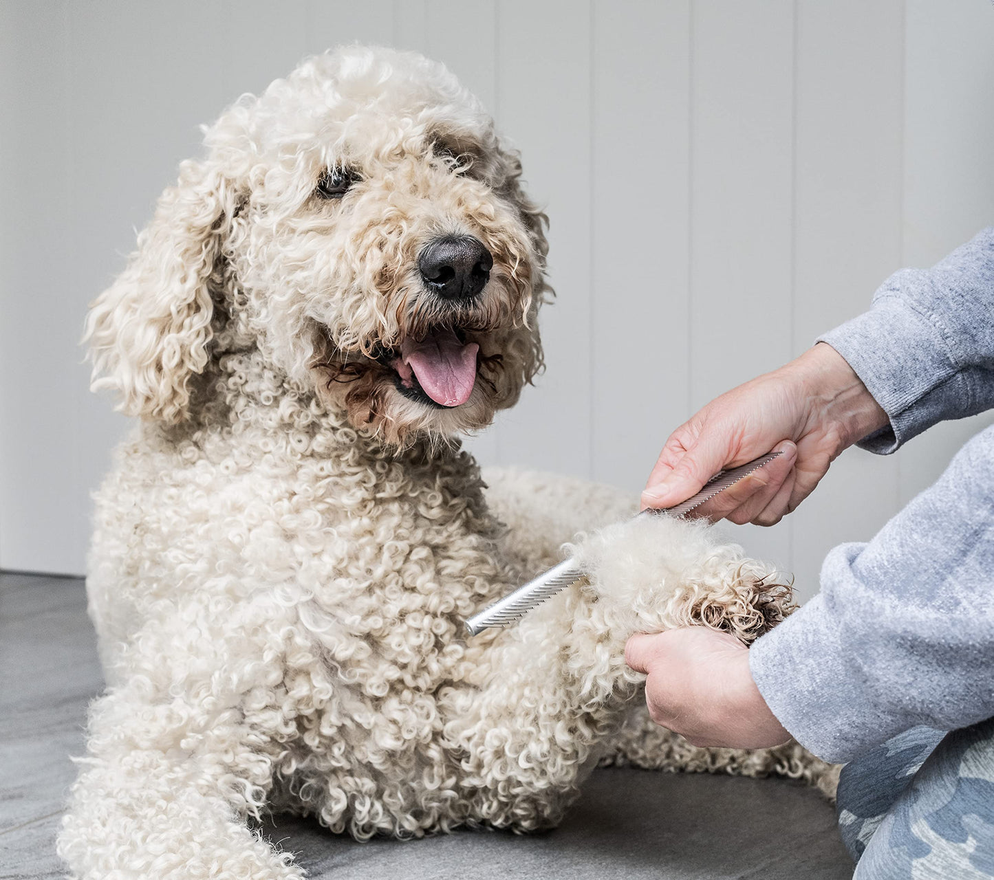 Mikki Dog Puppy Stainless Steel Comb and Hard Pin Slicker Brush, for Cockapoos, Labradoodles, Cavapoos and Golden Doodles - Starter Set 2pcs, Blue, Grey,Small