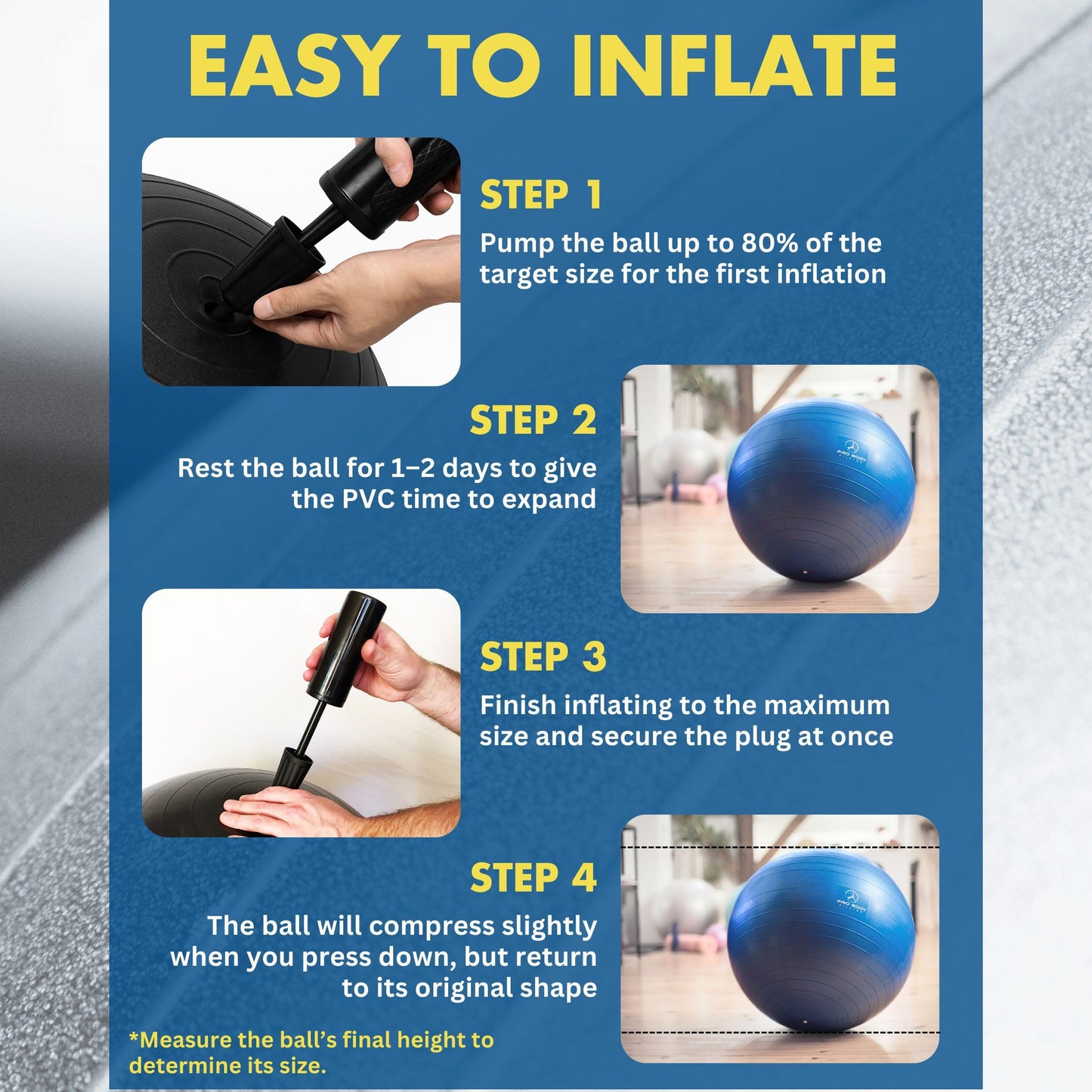 ProBody Pilates Exercise Ball - Multiple Sizes Gym Grade Balance Ball for Fitness, Workout, Pregnancy & Physical Therapy, Stability Yoga Ball Chair (Purple, 65cm)
