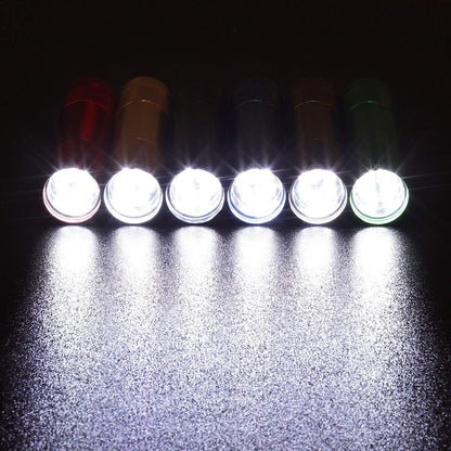 EverBrite 18-Pack LED Mini Pocket Torch, Small Keyring Torches Flashlight, Ideal for Camping Hiking Traveling Cycling Outdoors Party, Batteries Included