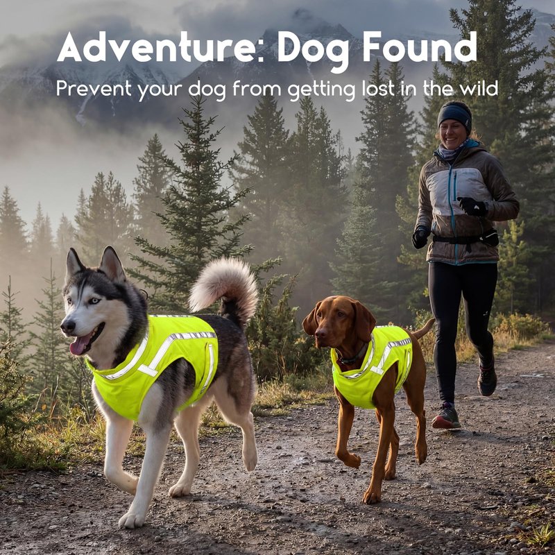 ASENKU Reflective Dog Vest, High Visibility Adjustable Hunting Vest for Pets, Dog Safety Vest for Night Walking and Outdoor Use, Green, S