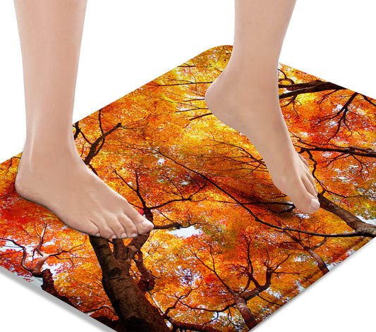 Britimes Bath Mat Bathroom Mat Rug No Silp, Autumn Fall Bathroom Decorations 18x30 Inches for Home Kitchen Bedroom
