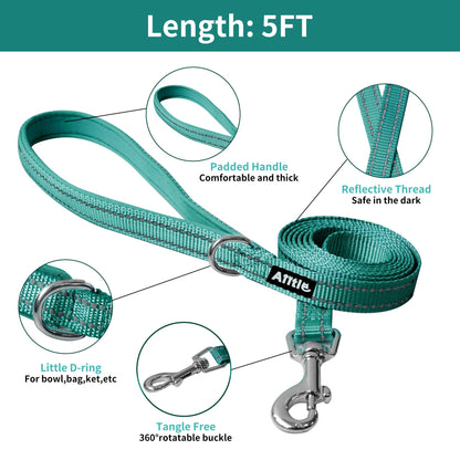 AIITLE Step in Dog Harness and Leash Set for Walking - Adjustable Dog Harness with Padded Vest for All Weather, Reflective Adjustable Pet Harness, Easy to Put on Small Dogs Turquoise S