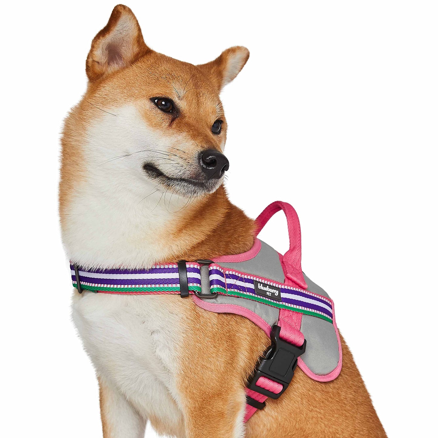 Blueberry Pet Soft 3M Reflective Dog Harness Vest | Mesh Padded No-Pull Harness with Back Clips | Multicolor Stripe in Pink, Emerald and Orchid| Adjustable for Large Dogs