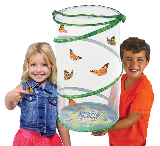 Insect Lore Giant Butterfly Garden with Voucher | 18 Inch Habitat | Life Cycle Figurines Included | Voucher to Redeem 5 Baby Caterpillars Later | Raise Painted Lady Butterflies